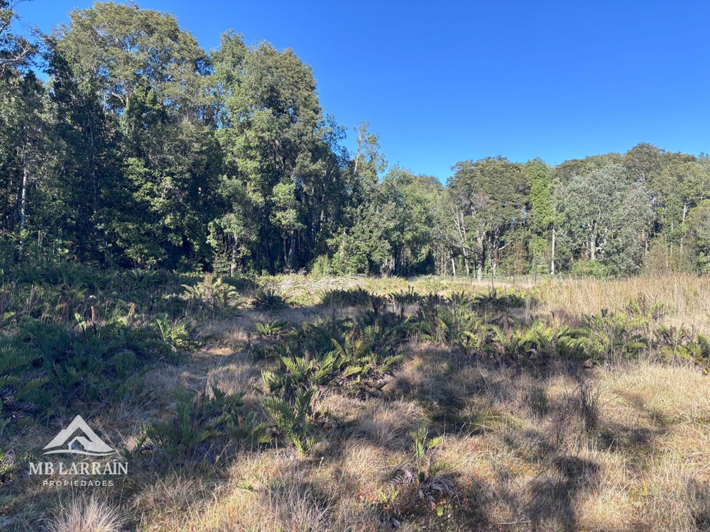 Condominio Las Tranqueras, Puerto Varas - Imagen 5