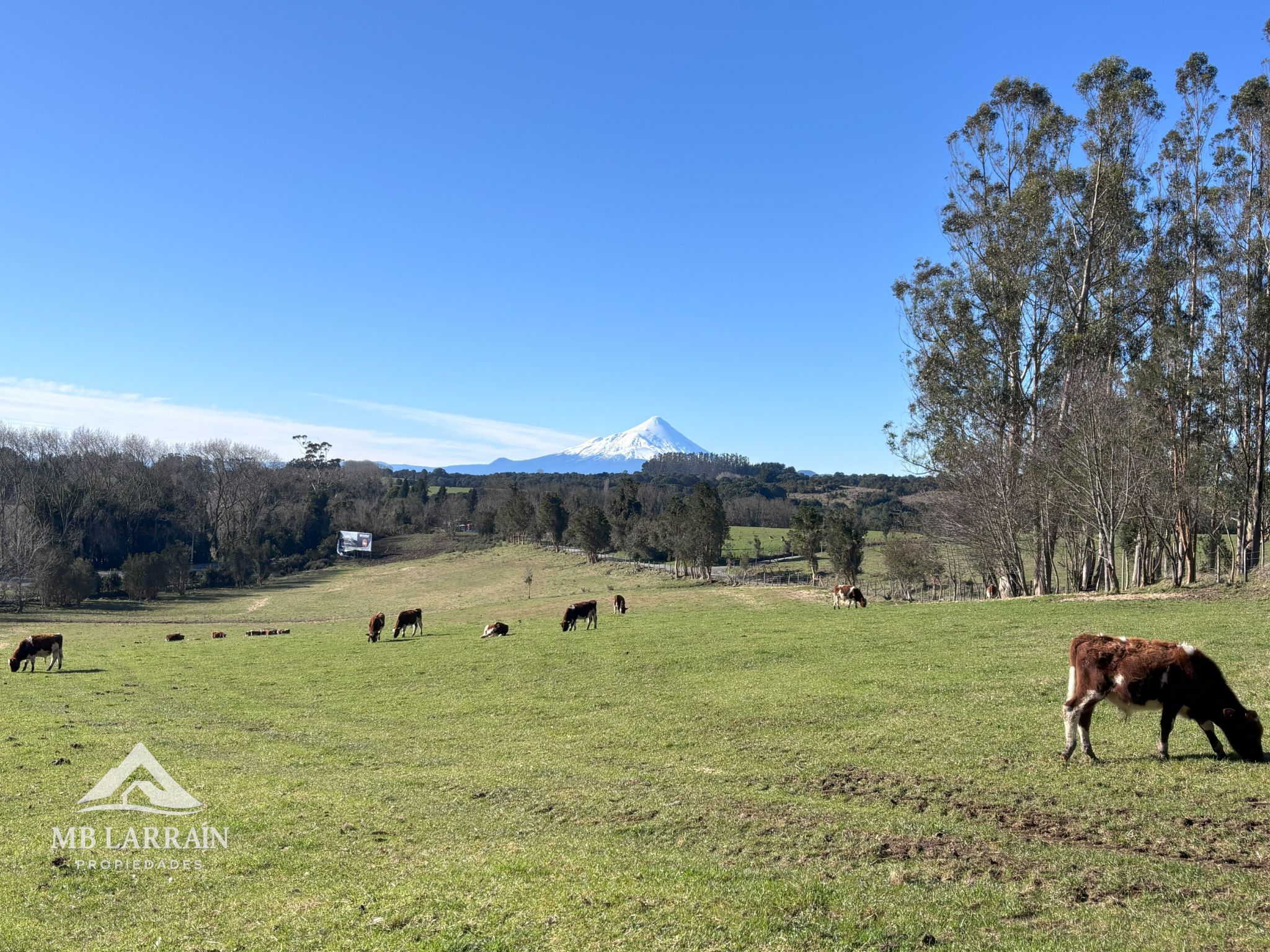 Condominio Las Tranqueras, Puerto Varas - Imagen 9