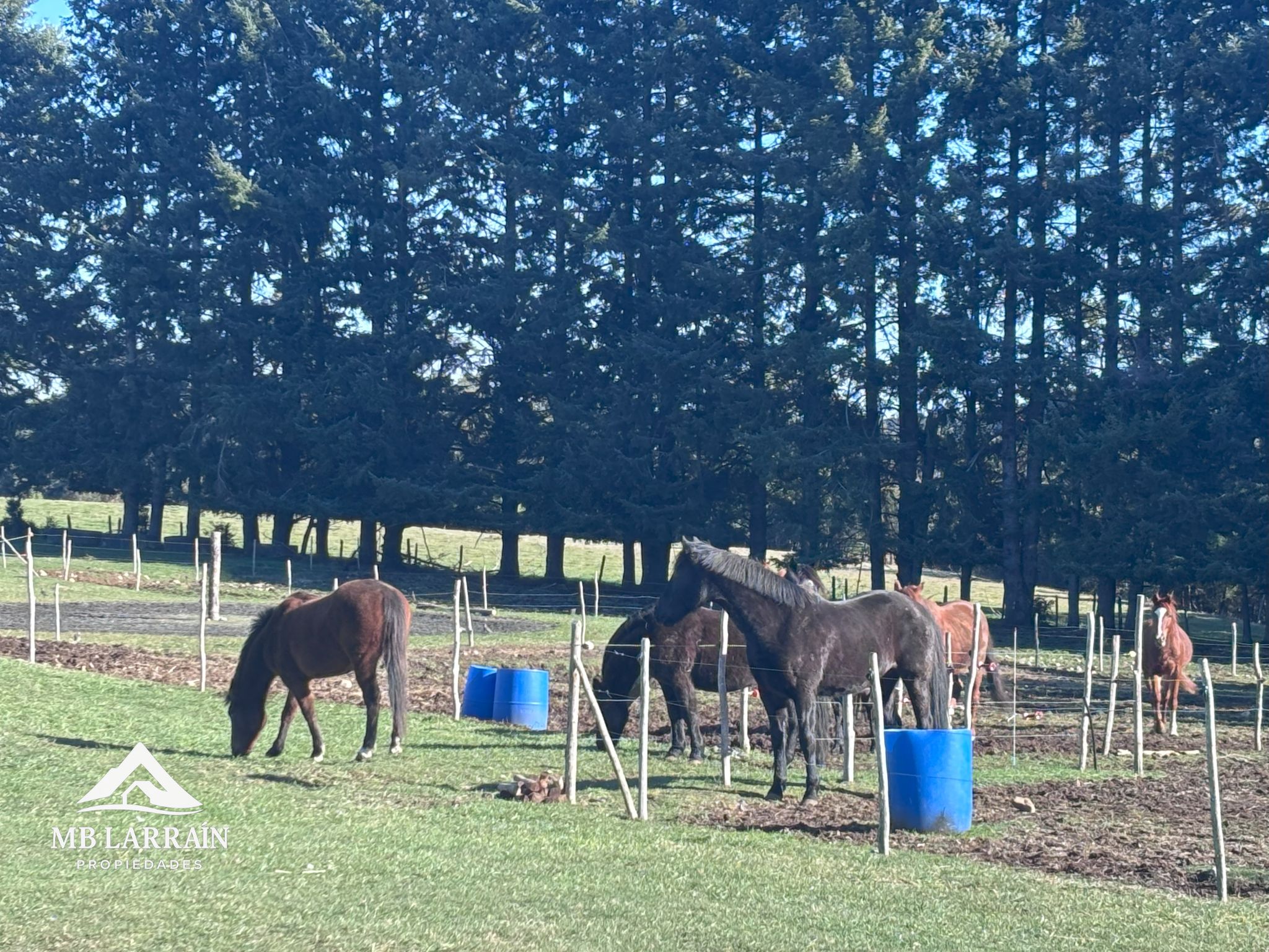 Condominio Las Tranqueras, Puerto Varas - Imagen 7