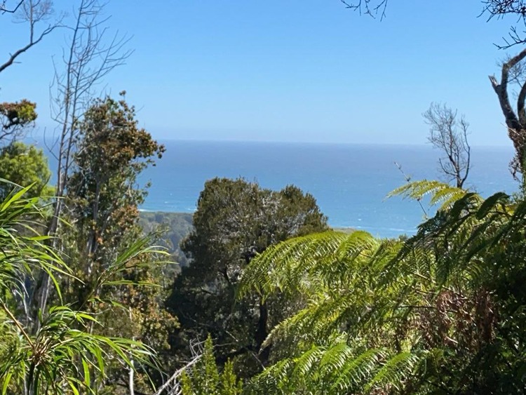 Llico Bajo, Los Muermos - Imagen 2