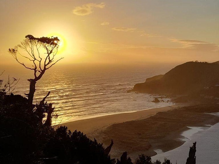 Llico Bajo, Los Muermos - Imagen 3