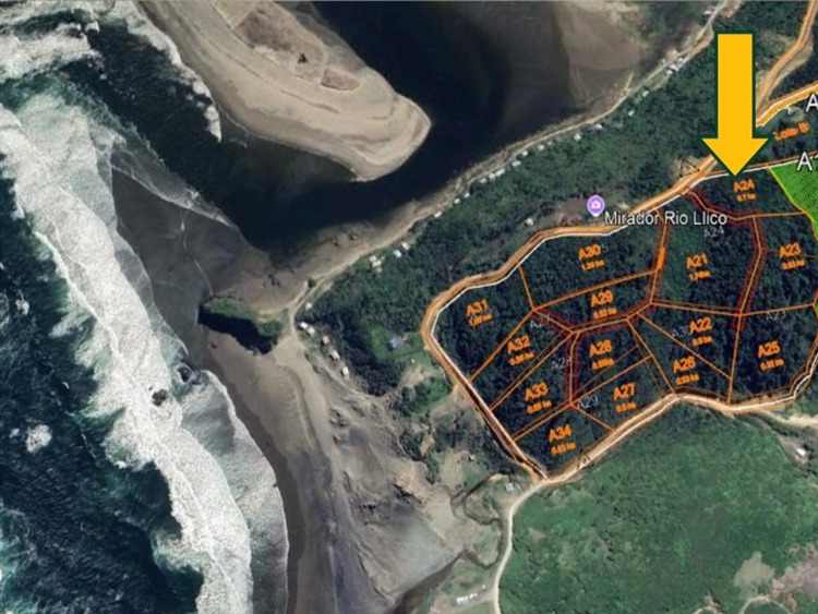 Llico Bajo, Los Muermos - Imagen 4